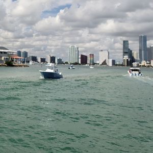 Meet your Posher, Sandy